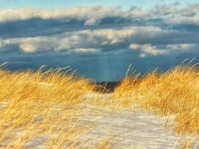 Photos of the dunes late on a winter afternoon
