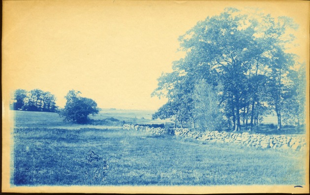 Field and stone wall cyanotype by Arthur Wesley Dow