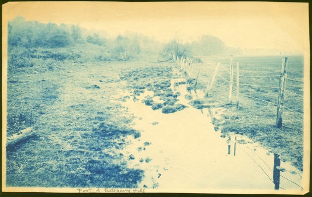 Wet field and fence cyanotype by Arthur Wesley Dow