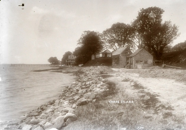 Grape Island houses by George Dexter