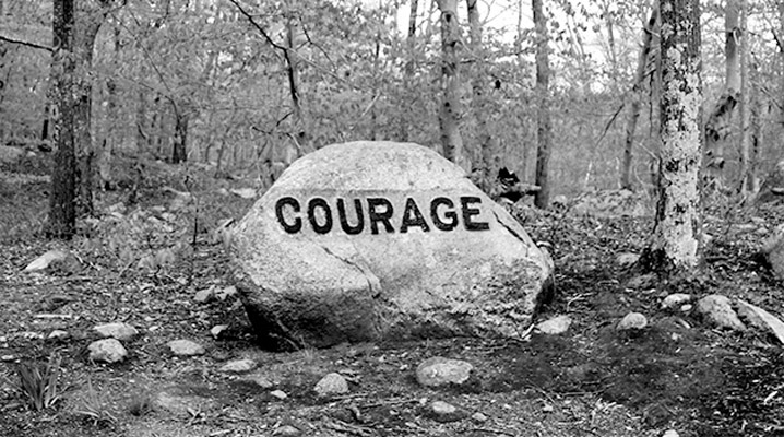 Courage boulder at Dogtown