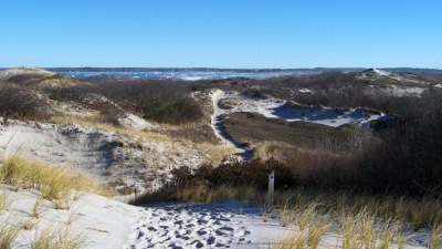 Trails in the dunes at Castle Neck in Ipswich