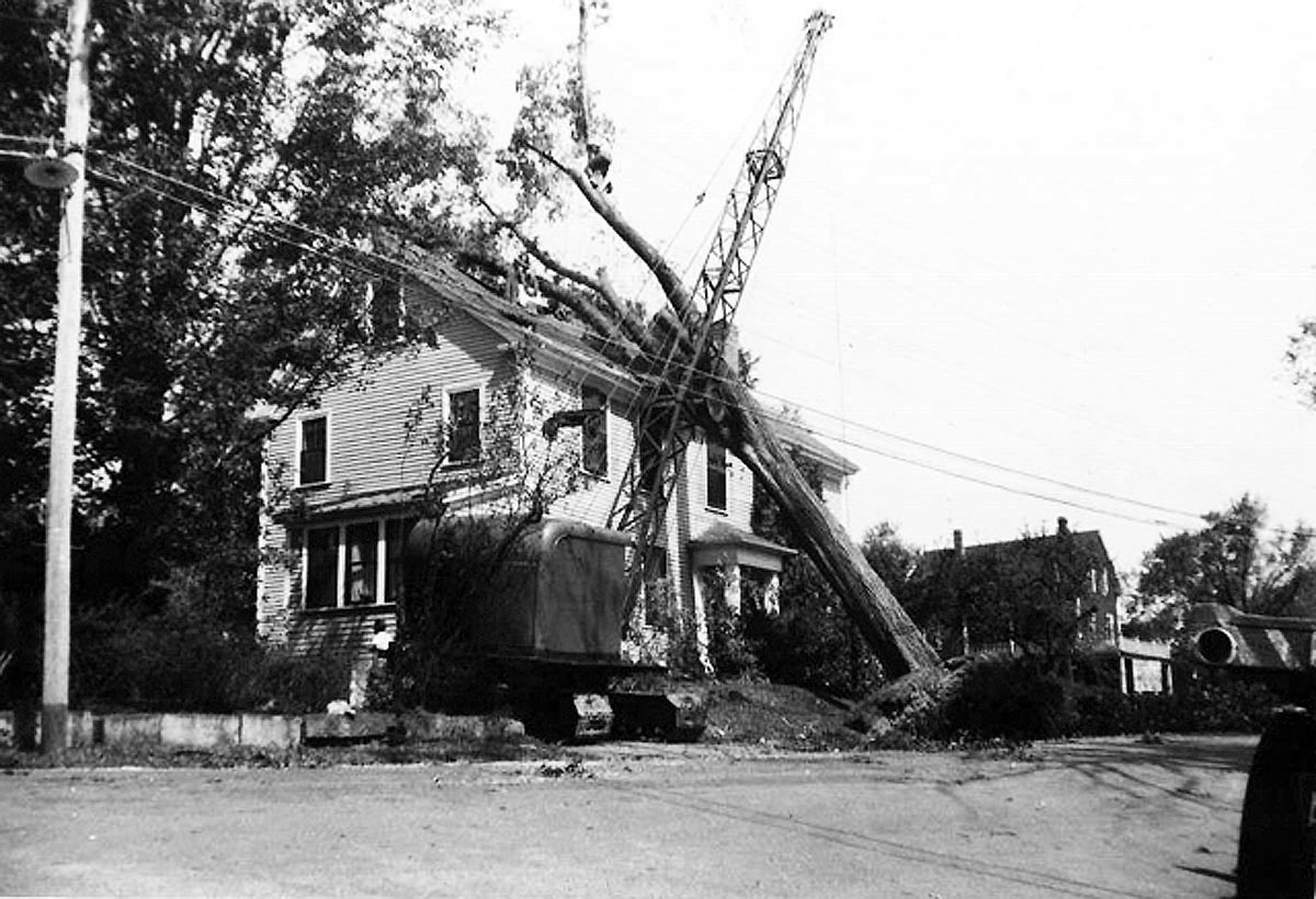 During the 1938 hurricane, a large elm crashed into the roof of 62 East St.